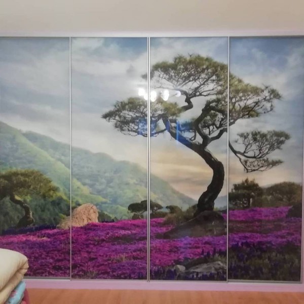 Шкаф-купе с фотопечатью №86