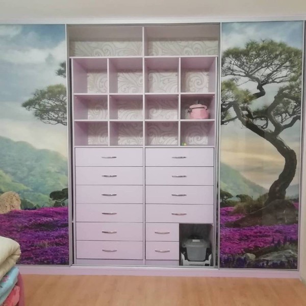 Шкаф-купе с фотопечатью №86