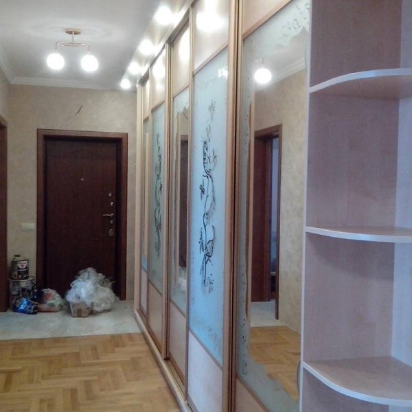 Шкаф-купе с пескоструем №79