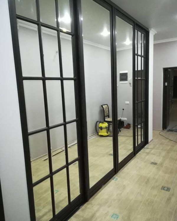 Шкаф-купе с зеркалом №62