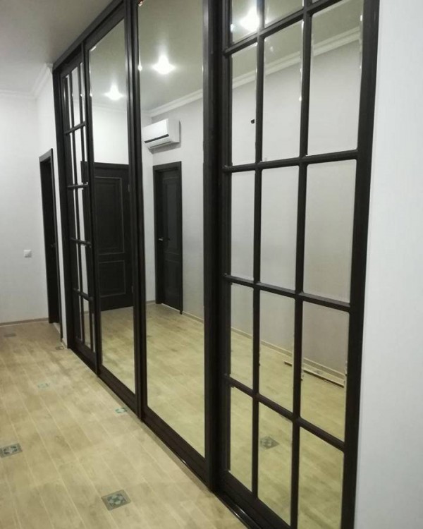 Шкаф-купе с зеркалом №62