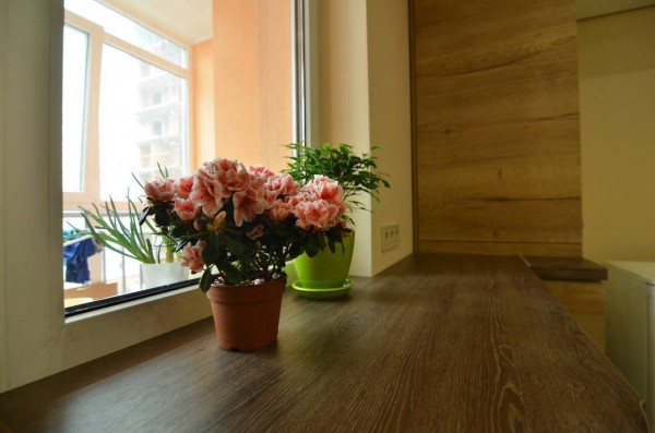 Кухня из ЛДСП №82