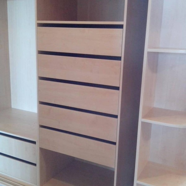 Шкаф-купе с пескоструем №79