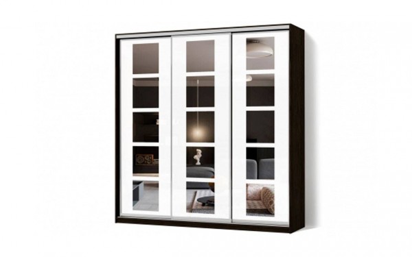 Шкаф-купе с пескоструем № 98